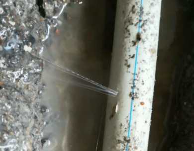 平顶山湛河测漏水哪家好