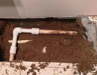 平顶山湛河测漏水哪家好