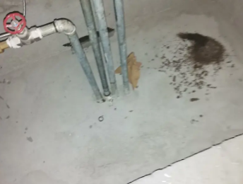 平顶山湛河卫生间测漏水价格明细