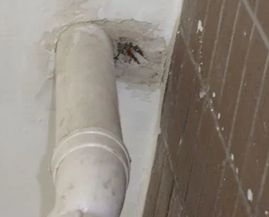 平顶山湛河漏水检测哪家好